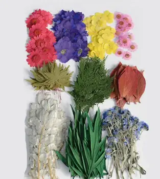  180pcs Najrôznejších Stlačené Sušené 10 Druhov Kvetov+List Rastlín Herbarium Pre Šperky Záložku Zápisník Pozvánka DIY Tvorby