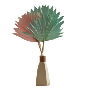  1pcs Farebné Palm Fanúšikov Leaf Sušené kvety Dekoratívne Rastliny Pobočky Okno Party Art Nástenné Závesné Dekorácie, Svadobné Usporiadanie