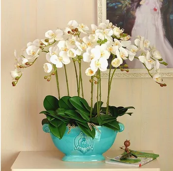  50Pcs Skutočný Dotyk Phalaenopsis Leaf Črepníkové Rastliny DIY Svadobné Dekoratívne Kvety Pomocné Kvet Domova Orchidea Listy 4A