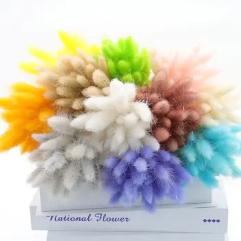  60Pcs Skutočné Prírodné Sušené Kvety, Kytice Králik Chvost Trávy Farebné pre Domáce Svadobné Dekorácie