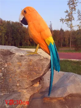  simulácia papagáj vták model opierať o 30 cm polyetylénu&oranžová-modrá perie papagáj domov, záhradné dekorácie, darčekové s2990
